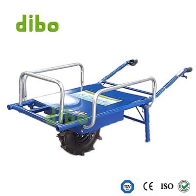 Elèctric autopropulsat
